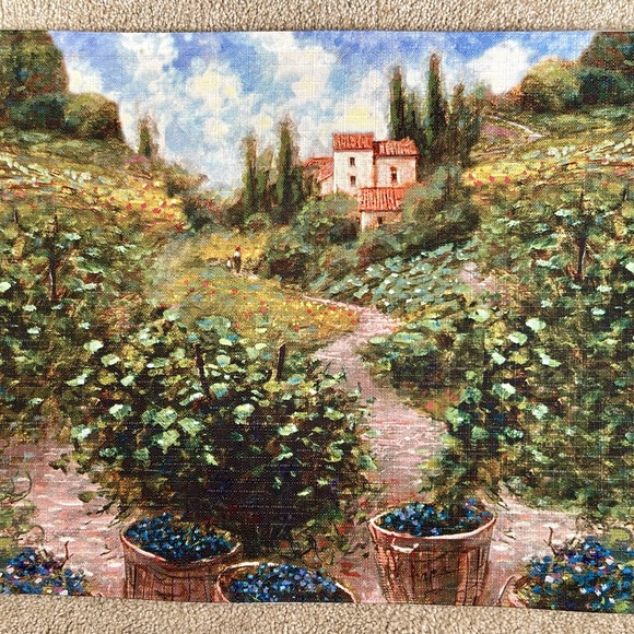 Other - Placemats NWOT stunning vineyard art design. Never used. 13x15”. Fabric
